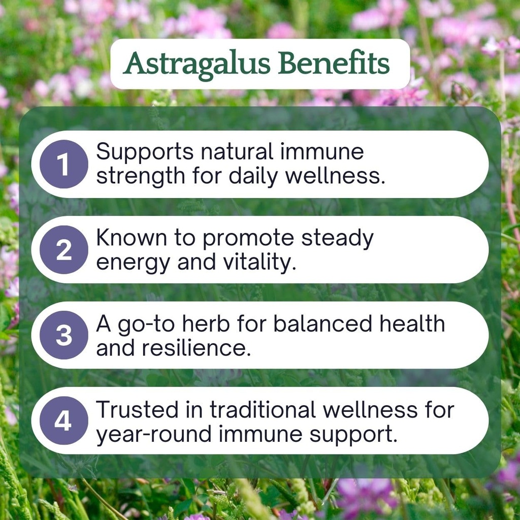 herb-lore-astragalus-tincture-usda-organ-5.jpg