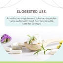 astragalus-60-capsules-500-mg-concentrat-2.jpg