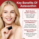 premium-astaxanthin-12mg-natural-antioxi-3.jpg