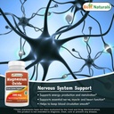 best-naturals-ashwagandha-extract-500-mg-6.jpg