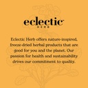 eclectic-herb-milk-thistle-glycerite-her-5.jpg