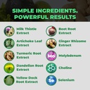 liver-gut-health-bundle-15-billion-time--4.jpg