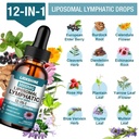 2-packs-3000mg-liposomal-lymphatic-drain-3.jpg