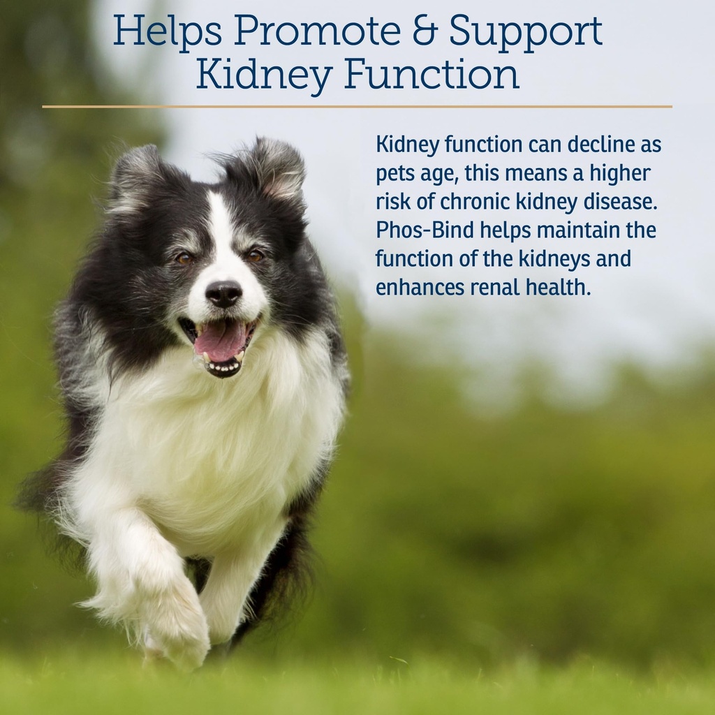rx-vitamins-phos-bind-kidney-support-sup-3.jpg