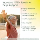 megafood-nad-boost-with-nicotinamide-rib-4.jpg