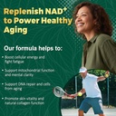 nboocup-nad-supplement-1010mg-nicotinami-6.jpg