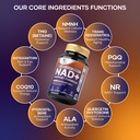 nad-1000mg-nmnh-next-gen-nmn-nicotinamid-3.jpg