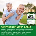 nad-supplement-2000-mg-extra-strength-fo-6.jpg