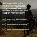 momentous-ashwagandha-supplement-300-mg--2.jpg