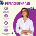 150mg-pterostilbene-supplement-once-dail-6.jpg