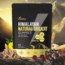 15-in-1-liposomal-nmn-supplement-sshilaj-6.jpg