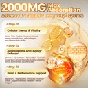 15-in-1-liposomal-nmn-supplement-sshilaj-5.jpg