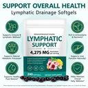 lymphatic-drainage-supplements-4275mg-21-3.jpg
