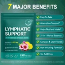 lymphatic-drainage-supplements-lymphatic-3.jpg