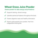 pure-synergy-organic-wheat-grass-juice-p-4.jpg