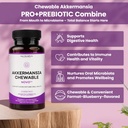 chewable-akkermansia-probiotic-and-prebi-3.jpg