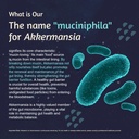 akkermansia-muciniphila-300-b-tfu-mulber-2.jpg