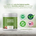 red-s-kitchen-sink-power-greens-powder-d-3.jpg
