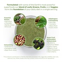 red-s-kitchen-sink-power-greens-powder-d-4.jpg