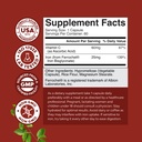 bundle-of-slow-release-iron-supplement-f-2.jpg