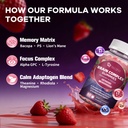 migcopat-mind-energy-duo-brain-gummies-n-5.jpg