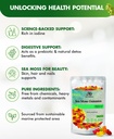 sea-moss-gummies-with-bladderwrack-burdo-4.jpg
