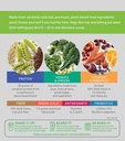 vega-one-all-in-one-nutrition-shake-coco-3.jpg