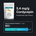 addictive-wellness-cordyceps-militaris-5-4.jpg