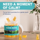kava-kava-gummies-ashwagandha-l-theanine-3.jpg