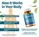 1-body-probiotic-60-billion-for-men-wome-5.jpg