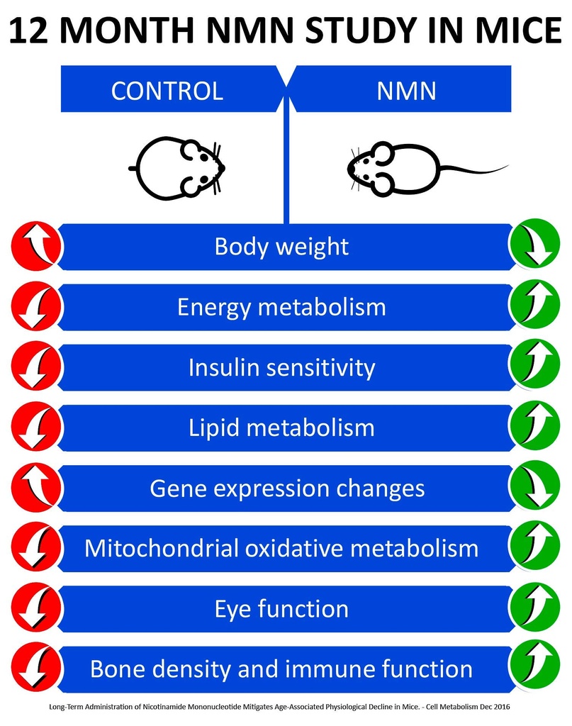 maac10-nmn-supplement-1000mg-serving-99--3.jpg
