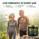 liposomal-nad-nmn-supplement-with-coq10--6.jpg