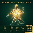 liposomal-nad-nmn-supplement-with-coq10--3.jpg