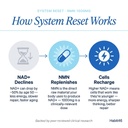 system-reset-1000mg-nmn-nad-precursor-su-4.jpg