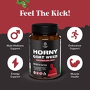 bundle-of-pure-forskolin-extract-supplem-5.jpg