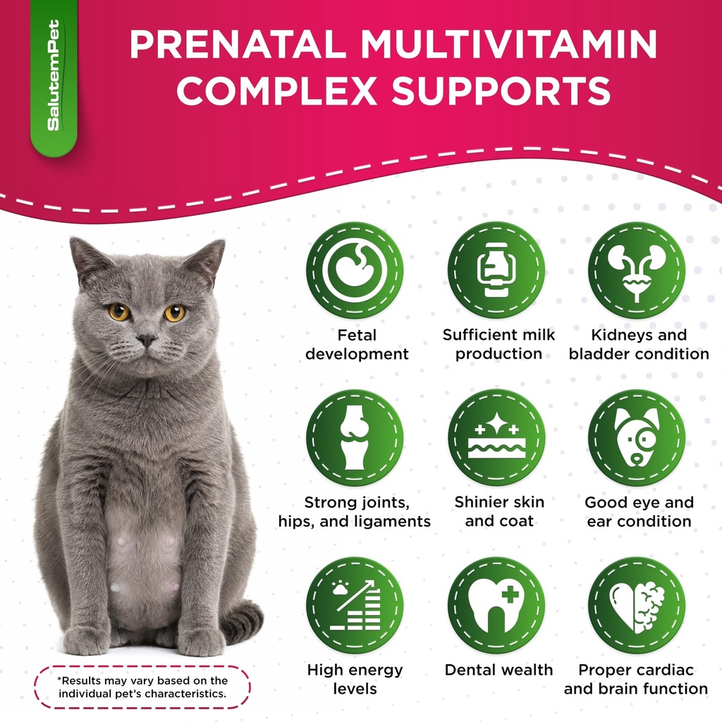 dog-prenatal-vitamins-for-moms-during-la-2.jpg