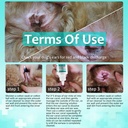 ear-mite-treatment-for-dogs-and-cats-ear-4.jpg