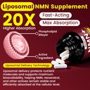 liposomal-nmn-supplement-nmnh-alternativ-5.jpg