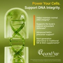xpandage-nmnh-500mg-supplement-best-nmn--4.jpg