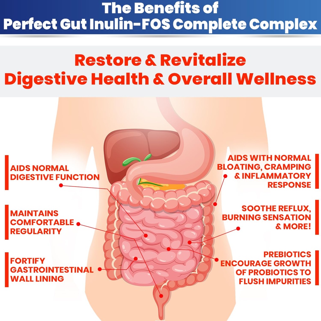 kidney-restore-perfect-gut-inulin-fos-po-4.jpg