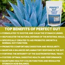 kidney-restore-perfect-gut-inulin-fos-po-3.jpg