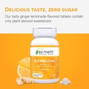 ez-melts-dissolvable-sugar-free-kombucha-4.jpg