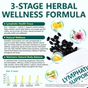 lymphatic-drainage-supplement-with-echin-5.jpg