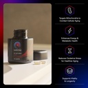 mitoq-ultimate-antioxidant-bundle-mitoch-2.jpg