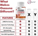 liposomal-astaxanthin-24mg-with-artemisi-3.jpg