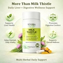 milk-thistle-capsules-plant-based-ingred-3.jpg