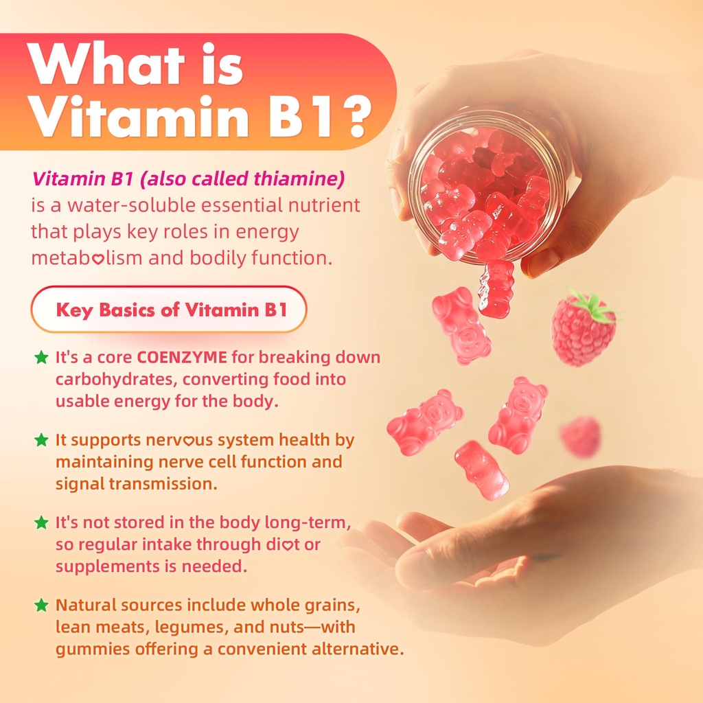 meenccd-2-pack-vitamin-b1-gummies-500mg--4.jpg