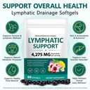 fanshi-lymphatic-drainage-supplements-60-2.jpg