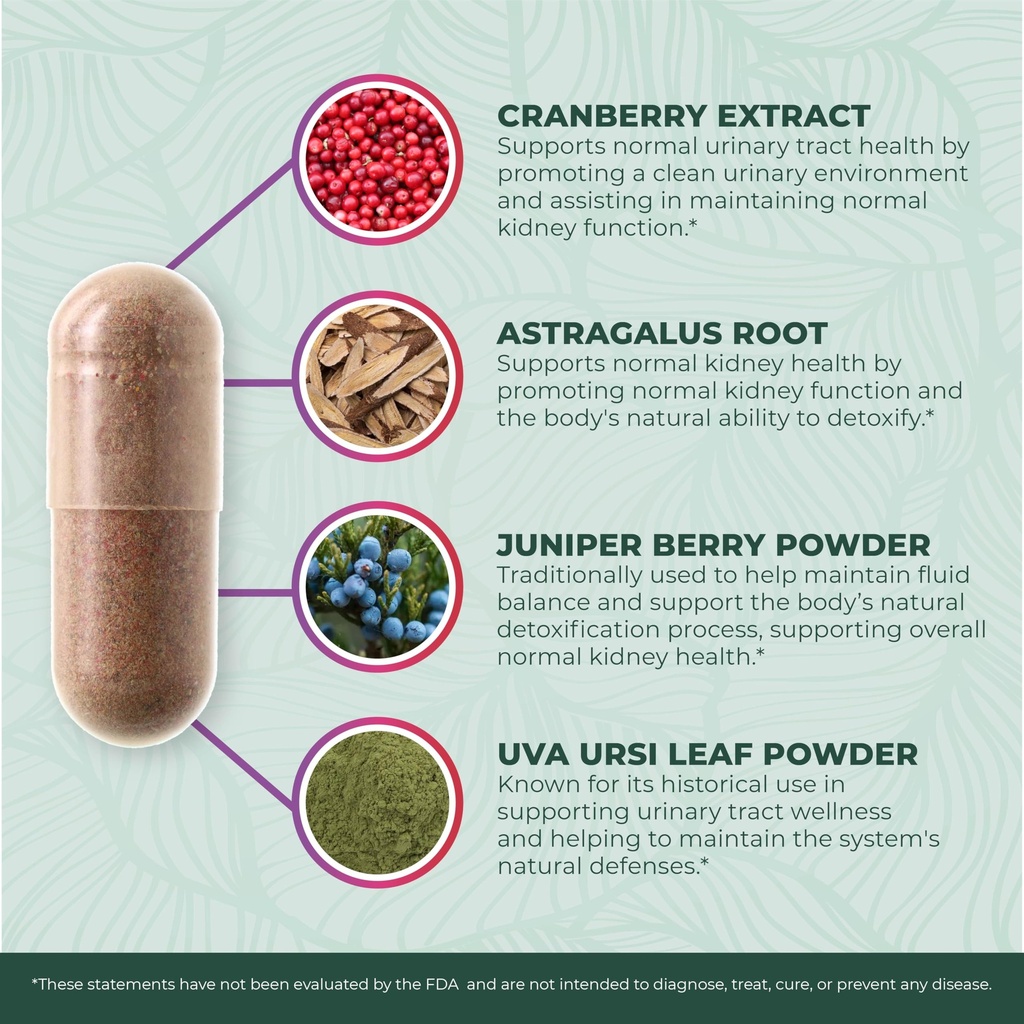 purepremium-kidney-support-supplement-ki-5.jpg