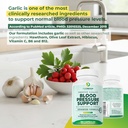 purepremium-blood-pressure-supplements-w-4.jpg